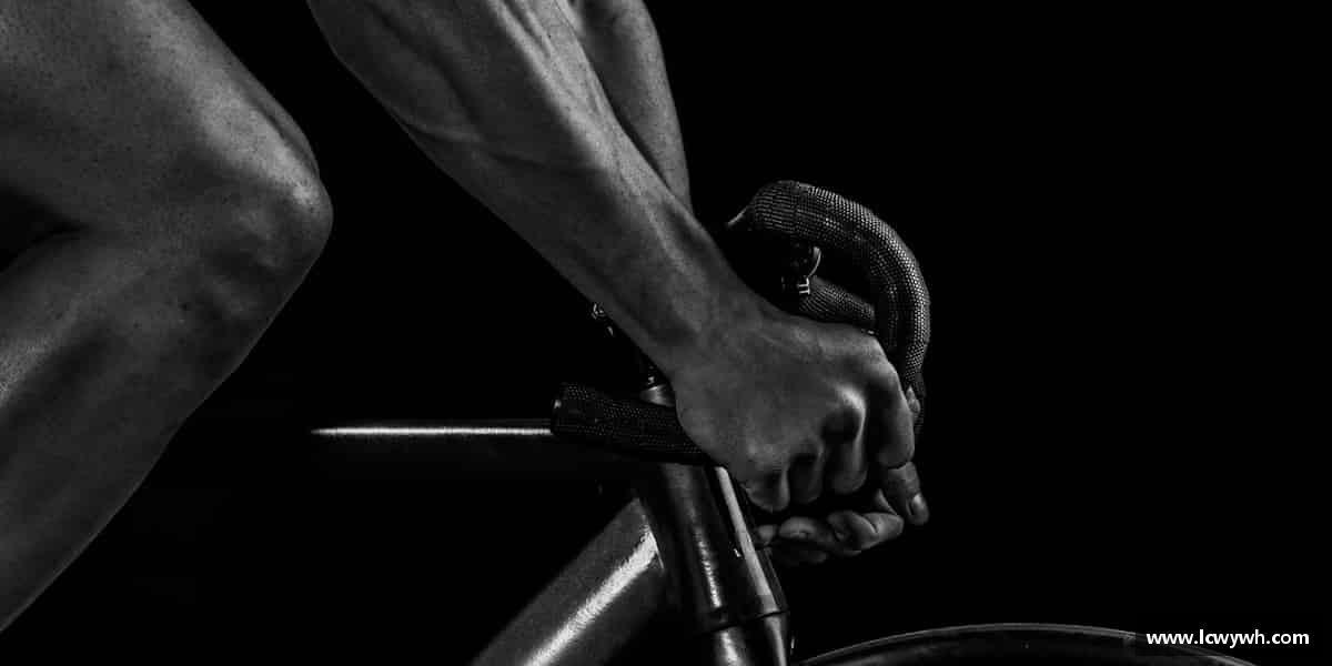解读悟空体育